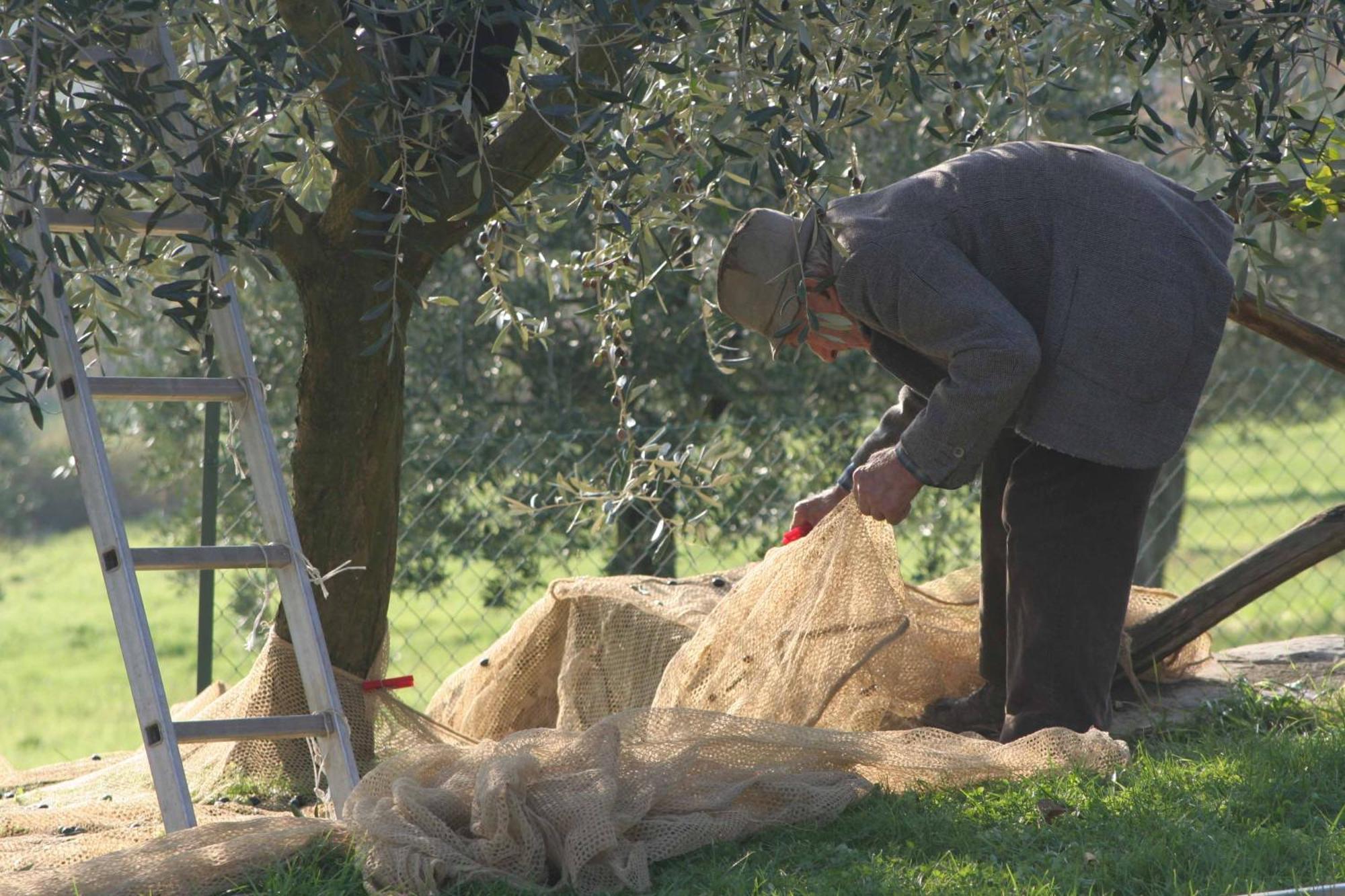 Agriturismo Le Ceregne Bio Pieve Santo Stefano Luaran gambar